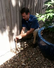 mosquito Treatment